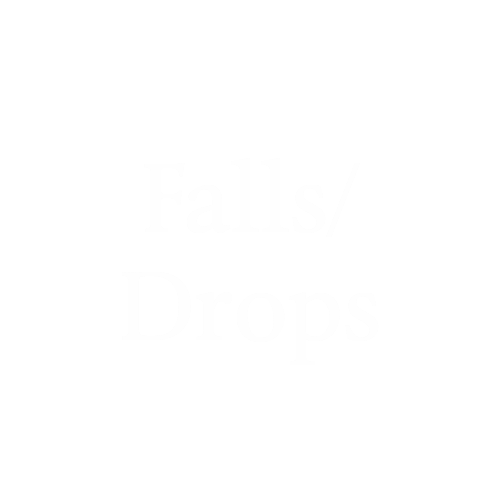 Blank 500 x 500 (3) Falls in a nursing home